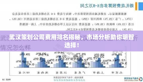 武汉策划公司费用排名揭秘，市场分析助你明智选择！