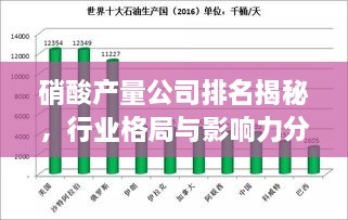 硝酸产量公司排名揭秘，行业格局与影响力分析