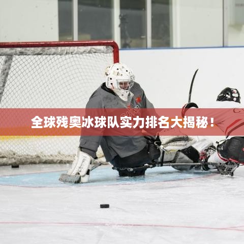全球残奥冰球队实力排名大揭秘！