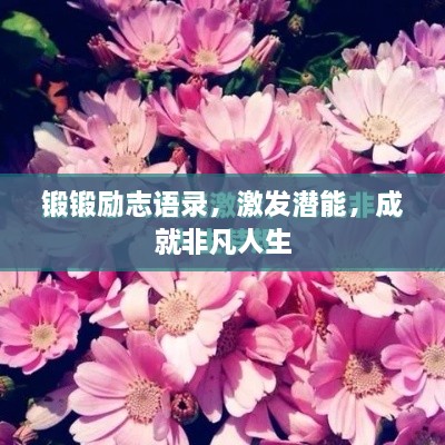 锻锻励志语录，激发潜能，成就非凡人生
