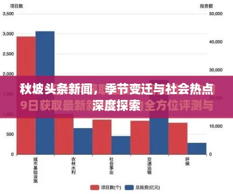 秋坡头条新闻，季节变迁与社会热点深度探索