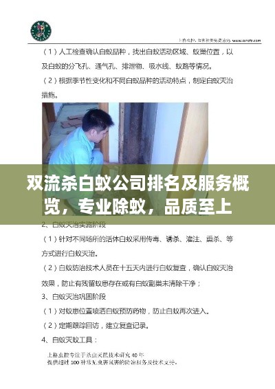 双流杀白蚁公司排名及服务概览，专业除蚁，品质至上