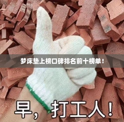 梦床垫上榜口碑排名前十榜单！
