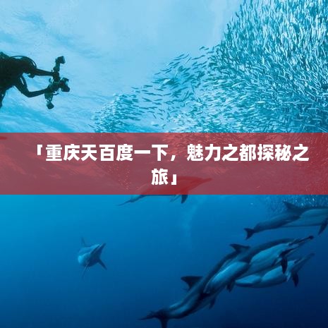 「重庆天百度一下，魅力之都探秘之旅」