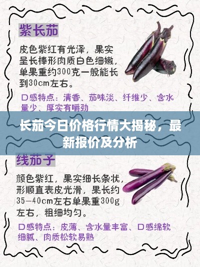 长茄今日价格行情大揭秘，最新报价及分析