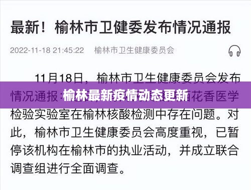 榆林最新疫情动态更新
