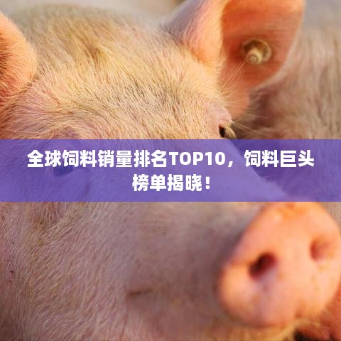 全球饲料销量排名TOP10，饲料巨头榜单揭晓！