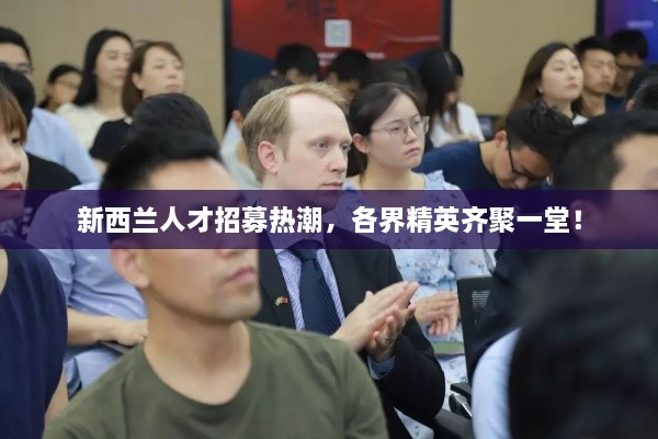 新西兰人才招募热潮，各界精英齐聚一堂！