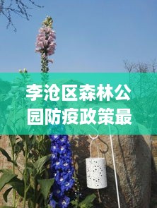 李沧区森林公园防疫政策最新动态