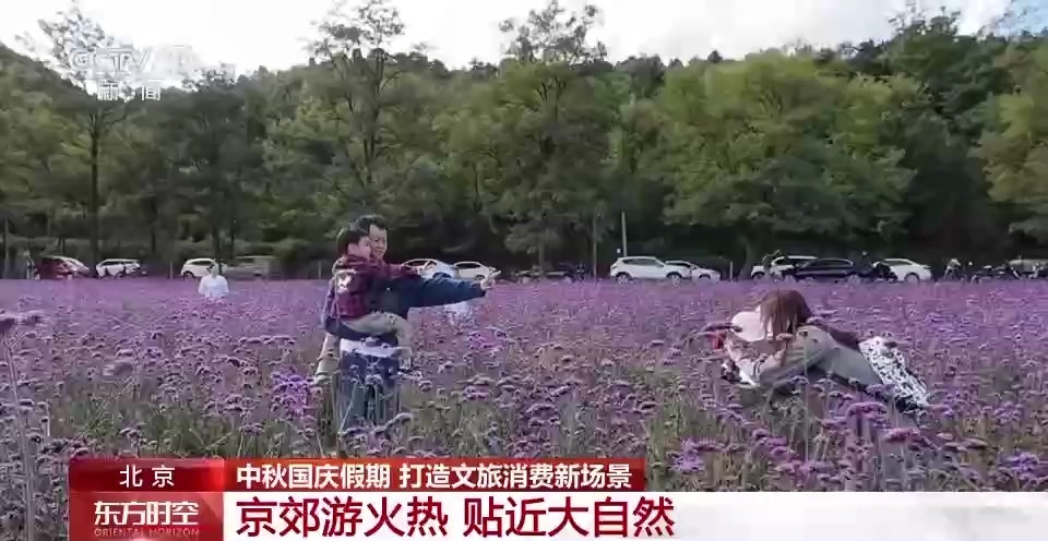 秋游登高持续火热，登山赏景成热门活动