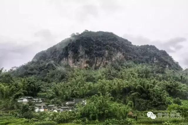 哀牢山拍到大量珍稀野生动物_实地考察数据应用_UHD24.66.77