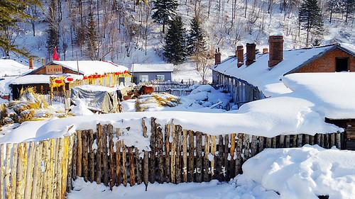 雪乡旅游热潮持续，探秘冬日奇景最新新闻发布