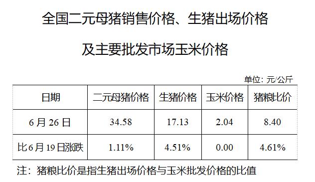 最新行情，2017年大蒜价格走势分析