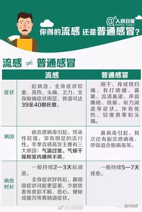 关于北京肺炎的最新动态，全面评测与深度介绍（最新更新日期，XX月XX日）