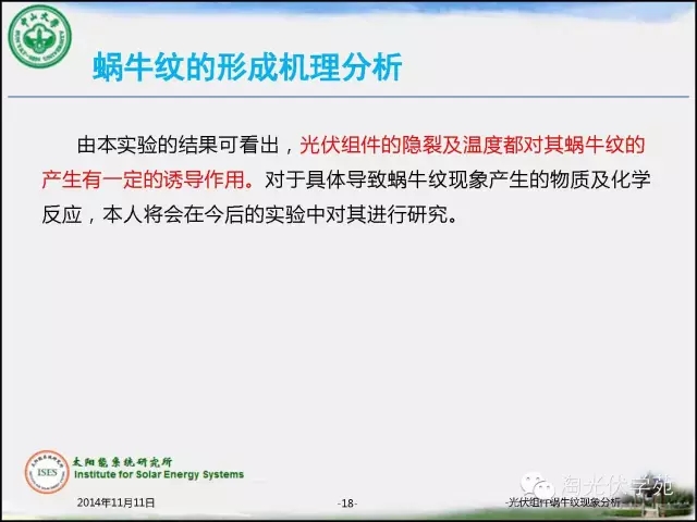 28日群动态深度解析，探索最新群现象