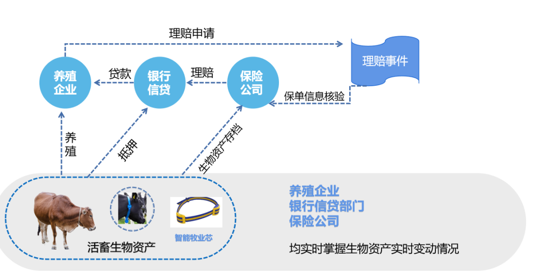 2024新澳三期必出一肖,模型解答解释落实_SE型1.949