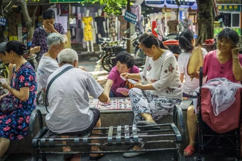 最新动态观察，玉林白蔻价格走势与多元观点分析