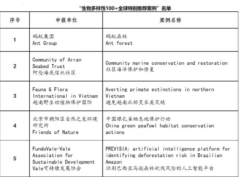 新澳2024最新资料,实践性方案设计_特别制7.132