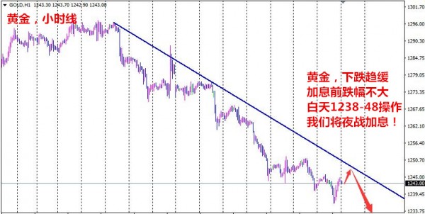 新奥最快最准免费资料,最新趋势解答方案解释_双语版9.815