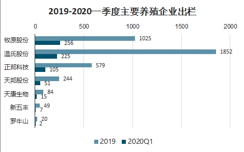 新澳2024年精准资料,多元方案执行策略_显示版9.487