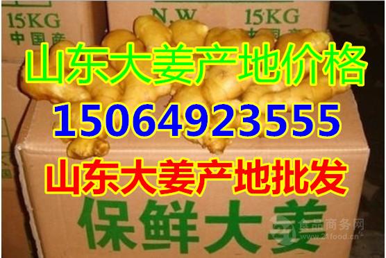 山东大姜最新价格动态解析，实用指南与价格走势深度探讨