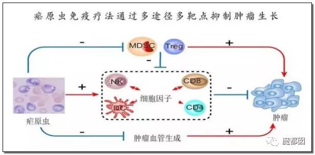 2024溴门正版资料免费大全，数据科学解析说明_冷静版3.40.323