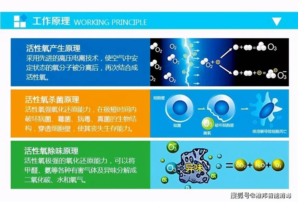 2024香港全年免费资料公开，科学解释分析_方便版3.40.410