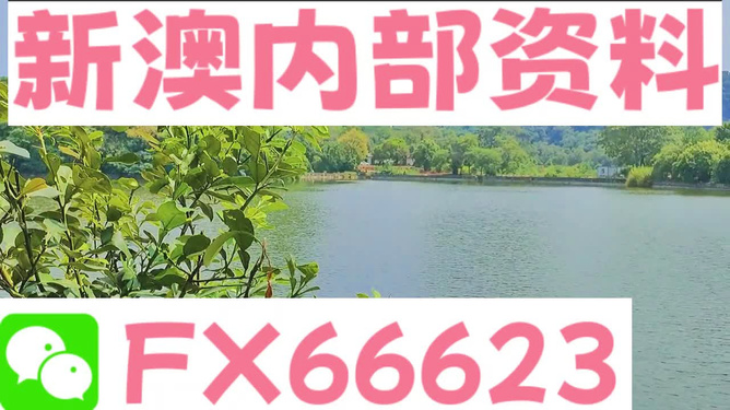 新澳精准资料免费提供网站有哪些，解答配置方案_曝光版3.40.939