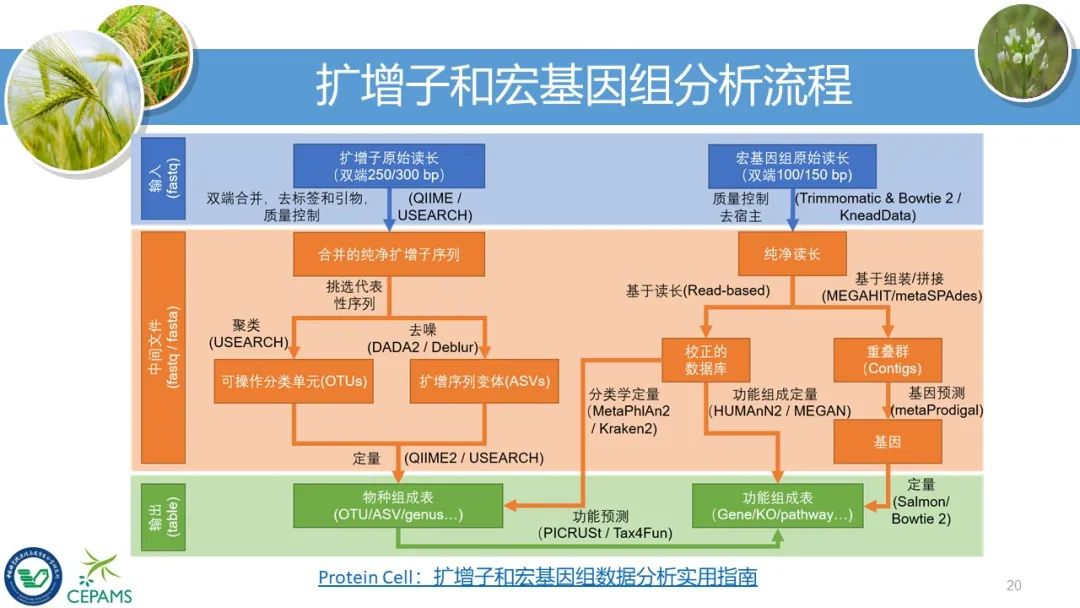 7777788888精准新传真112，数据指导策略规划_互助版3.40.877