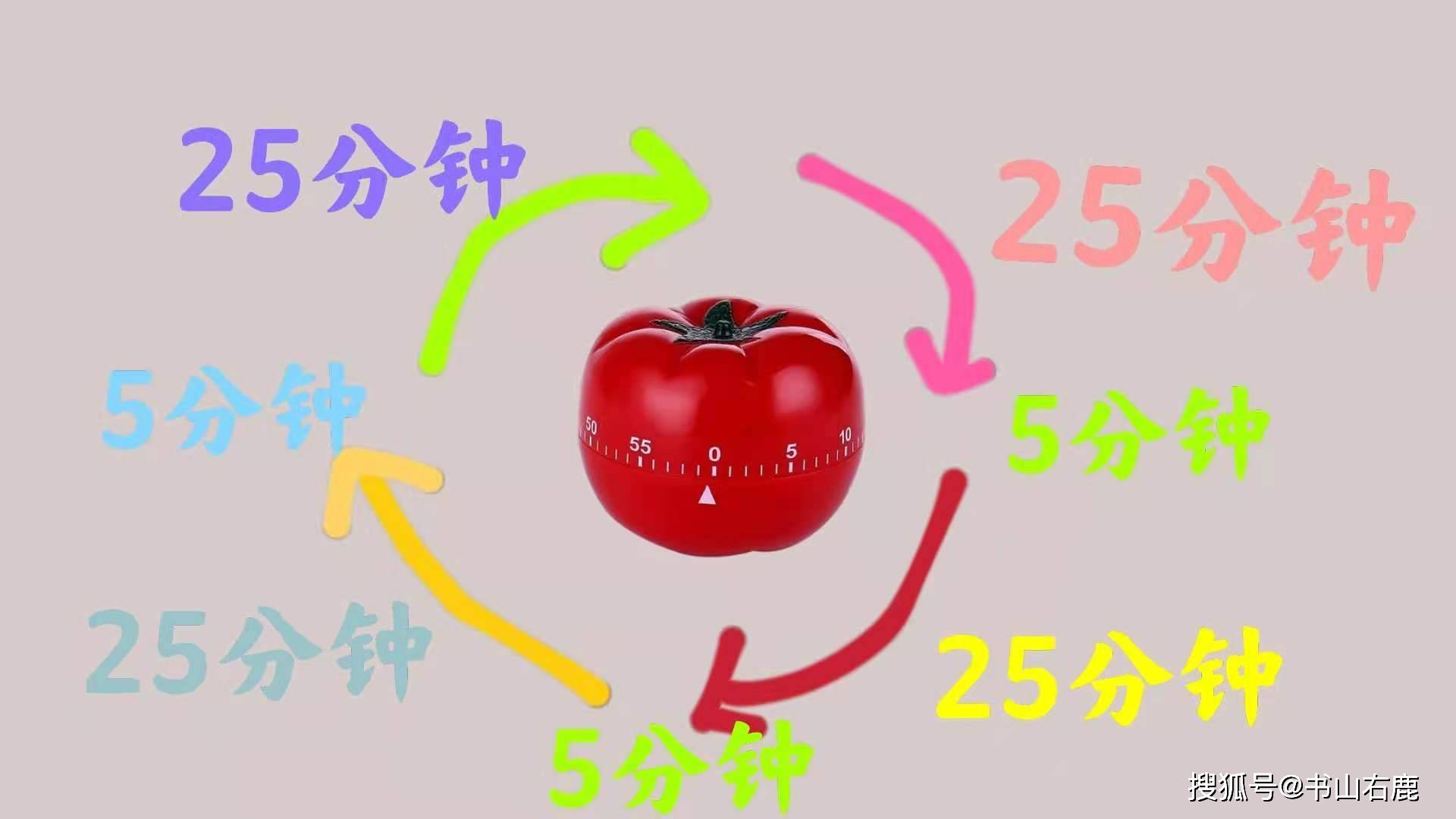 2024新澳门开奖结果，数据管理策略_桌面款3.40.662