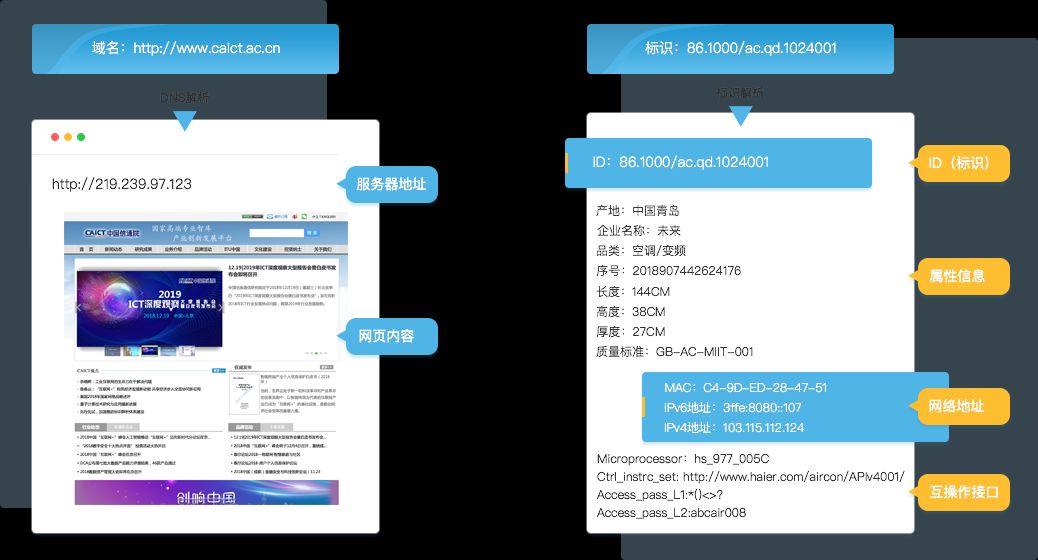 新澳资料最准的网站，专业调查具体解析_仿真版3.40.453