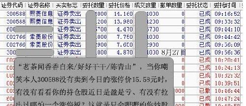 白小姐四肖四码100%准，深入执行计划数据_WP23.64.52