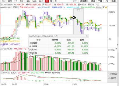 2024年新澳门今晚开什么,全方位展开数据规划_硬件版9.14.736