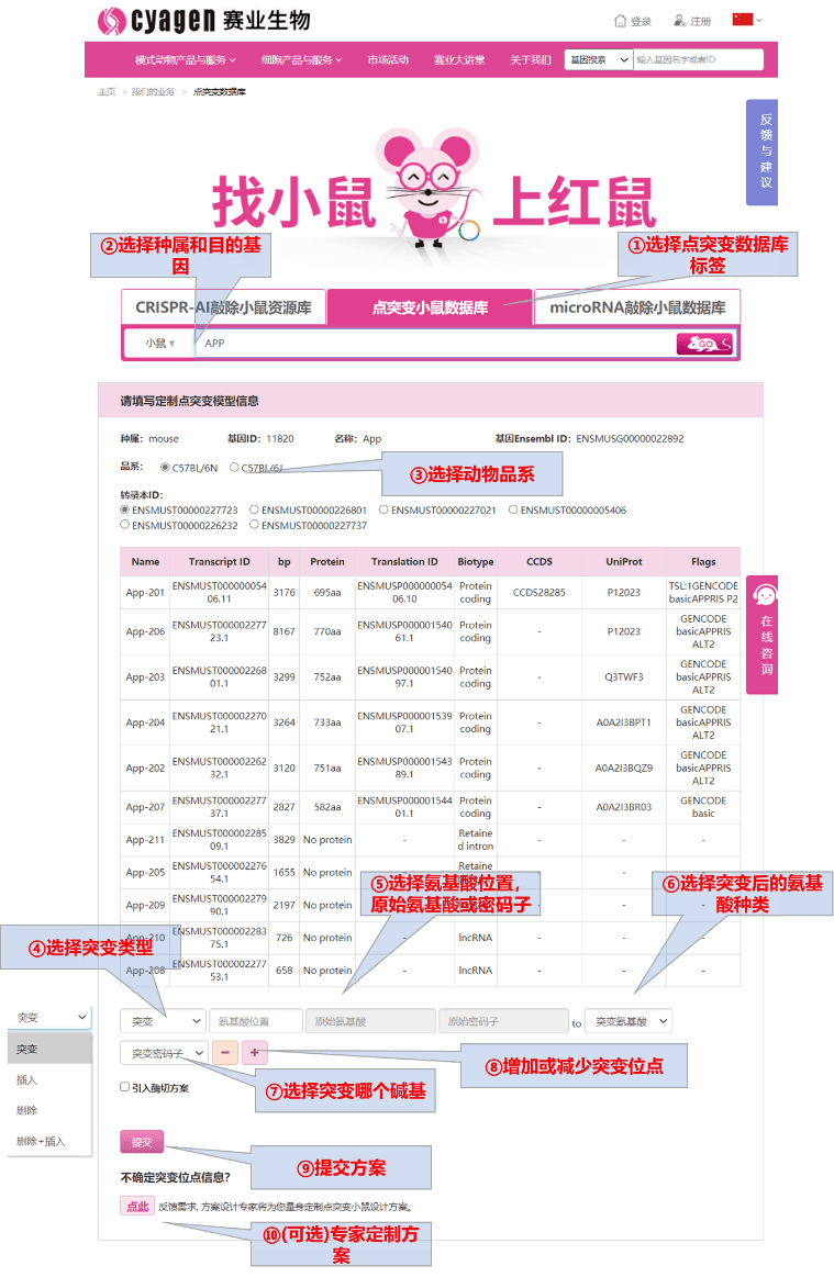 澳门管家婆100%精准,数据解释说明规划_定制版9.14.480