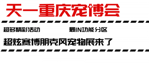 2024新奥资料免费大全_重庆最新拖头司机招聘,探索未来之门，新奥资料共享、重庆拖头司机招聘与系统日志解析