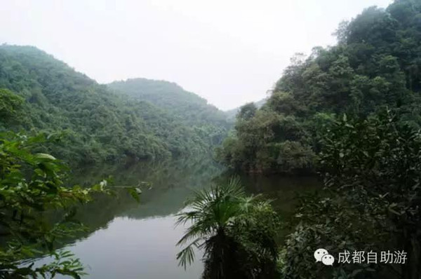 彭州九峰山景区深度体验报告，最新评测与体验分享