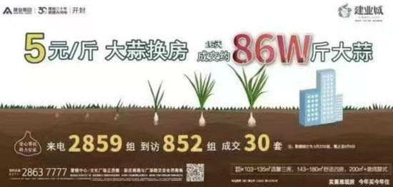 2024新澳资料免费精准,广泛讨论方案落实_投入型99.111