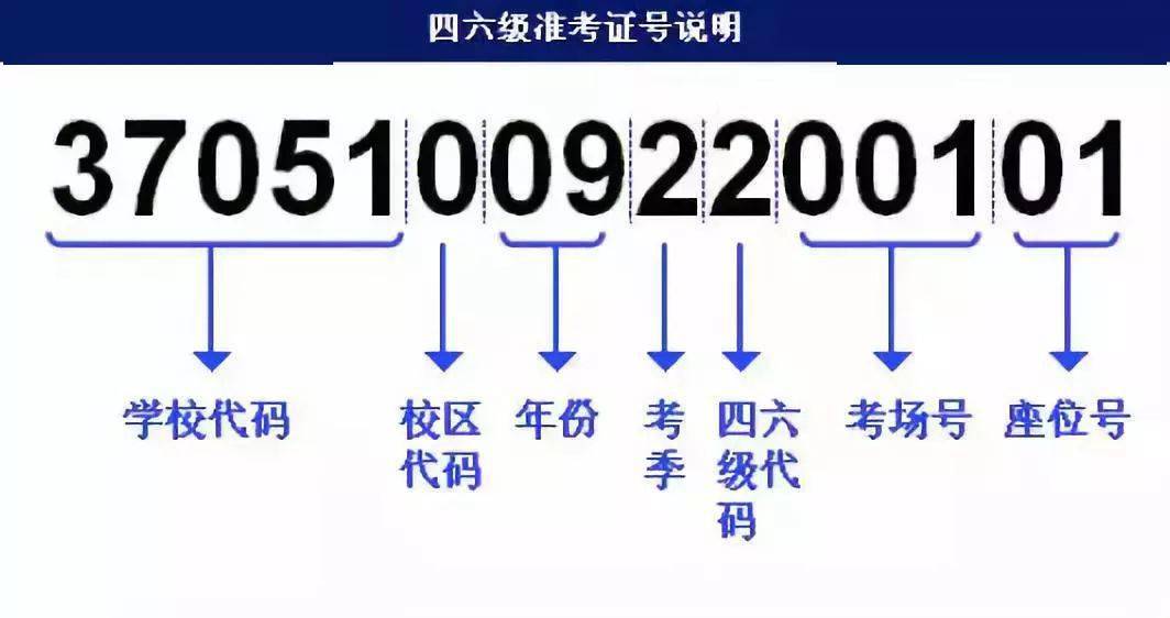 管家婆一笑一码100正确,详细解析解答解释计划_活泼款11.291