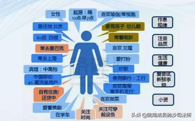 管家婆精准资料大全免费精华区,数据导向执行策略_操作款91.929