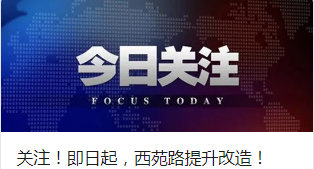 2024新奥免费领取资料,权威措施解答解析解释_迷你款16.106