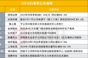 新澳门内部一码精准公开,积极执行应对解答_立体款85.917