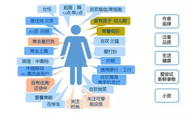 新奥天天免费资料单双,实地数据解释定义_优雅版90.138