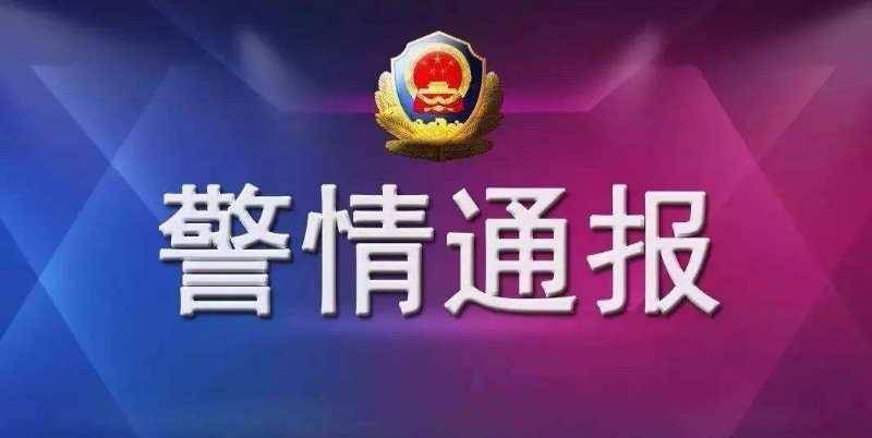 广东警方最新回应处理指南，跟进与参与步骤详解