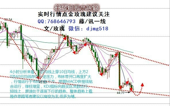 11月7日原油行情下的自然探索与内心宁静之旅