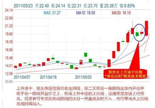 2024年11月 第2075页