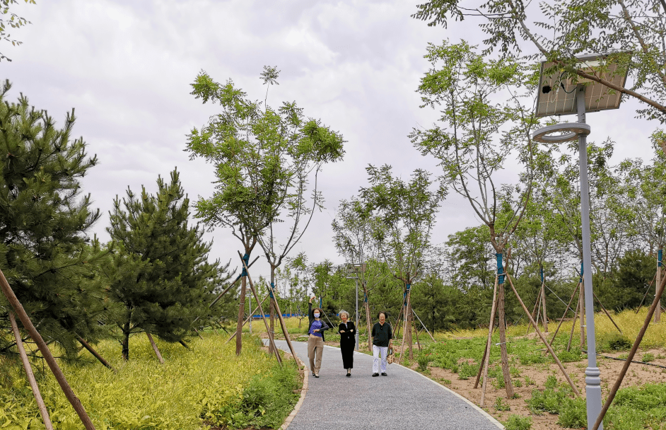 荣成市最新招聘亮相，与自然共舞的心灵宁静之旅新岗位发布