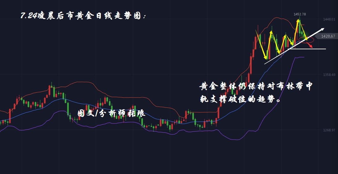 澳门独家一肖预测，全面解析解答之家庭版MWJ598.45