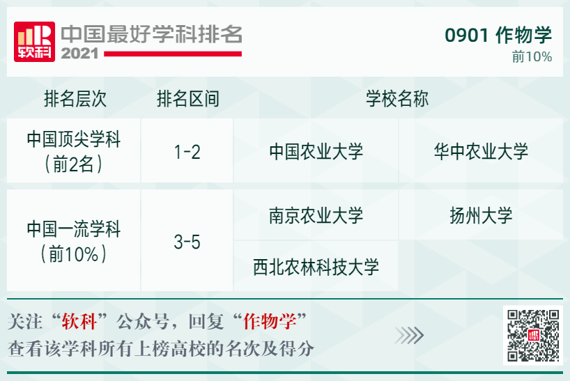 新澳2024年正版资料,最佳精选解释_速达版63.54