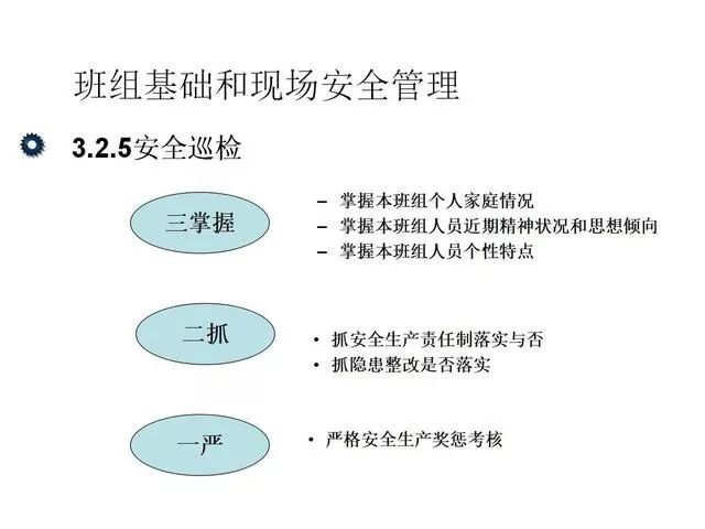 2024澳新正版资料共享，解析安全设计策略——BUP699.15预览版