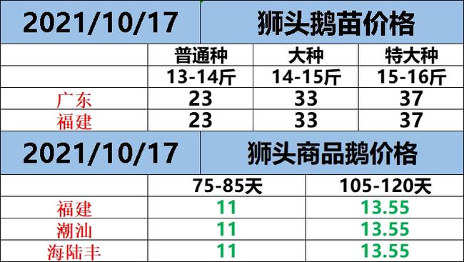 最新鹅报价概览，市场趋势、影响因素与解读分析